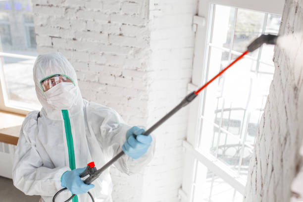 Mold Removal for HVAC Installations in Long Grove, IL